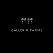 Calla Farms