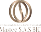 CI Mastee